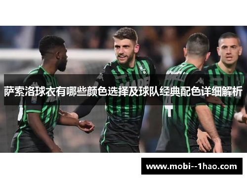 萨索洛球衣有哪些颜色选择及球队经典配色详细解析 萨索洛球衣有哪些颜色选择及球队经典配色详细解析