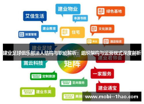 建业足球俱乐部法人结构与职能解析：组织架构与运营模式深度剖析