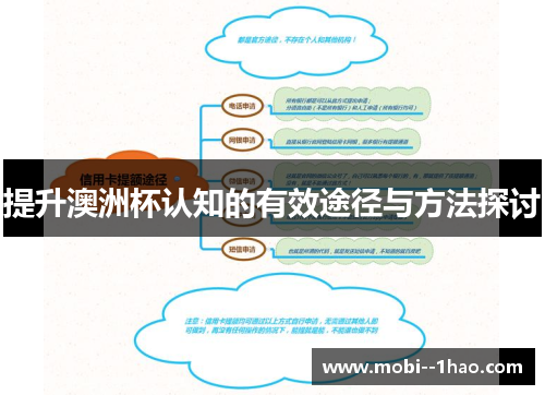 提升澳洲杯认知的有效途径与方法探讨