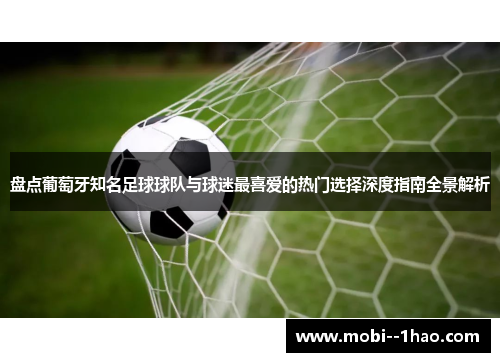 盘点葡萄牙知名足球球队与球迷最喜爱的热门选择深度指南全景解析