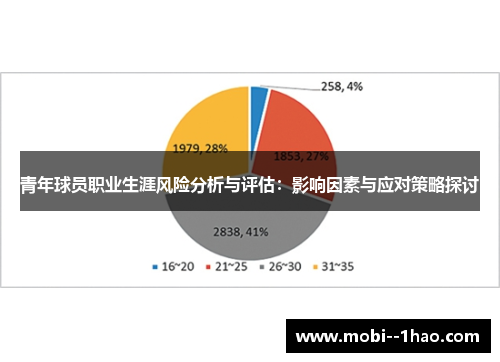 青年球员职业生涯风险分析与评估：影响因素与应对策略探讨