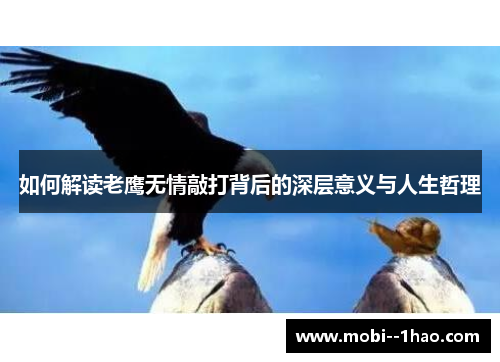 如何解读老鹰无情敲打背后的深层意义与人生哲理 如何解读老鹰无情敲打背后的深层意义与人生哲理