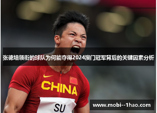 张德培领衔的球队为何能夺得2024澳门冠军背后的关键因素分析