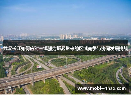 武汉长江如何应对三镇强势崛起带来的区域竞争与协同发展挑战