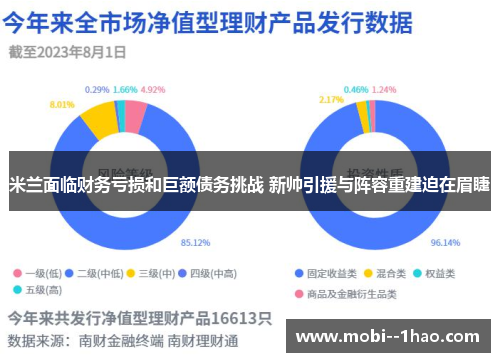 米兰面临财务亏损和巨额债务挑战 新帅引援与阵容重建迫在眉睫