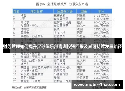 财务管理如何提升足球俱乐部青训投资回报及其可持续发展路径