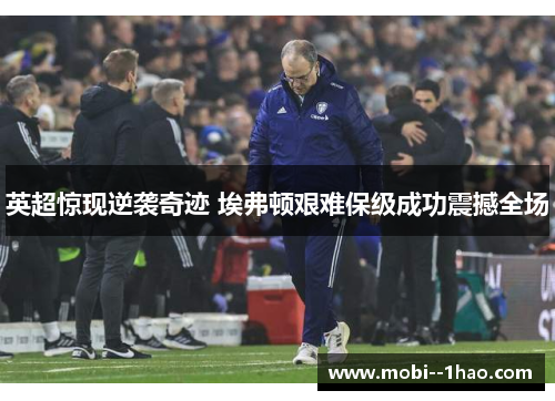 英超惊现逆袭奇迹 埃弗顿艰难保级成功震撼全场